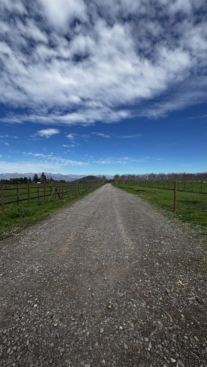 Camino interior entre cercos, con la cordillera nevada al fondo