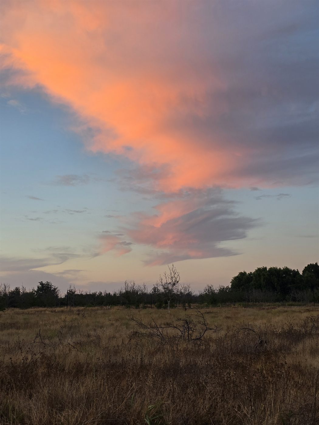 Nubes encendidas por el atardecer sobre el campo de Santa Luisa de Palpi