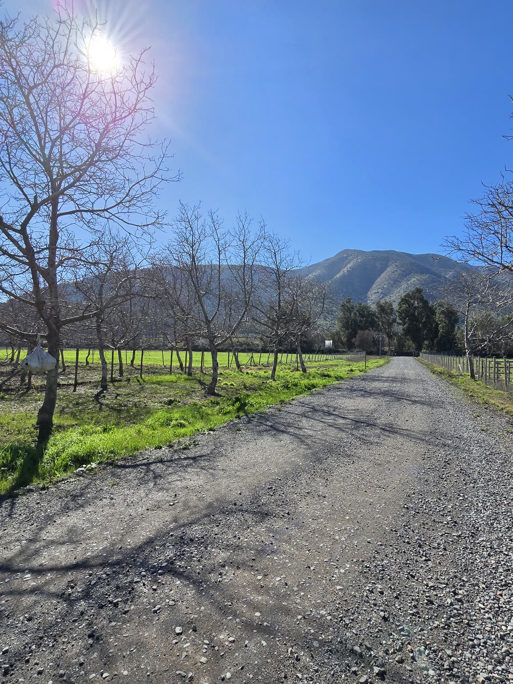Camino interior del loteo hacia el cerro